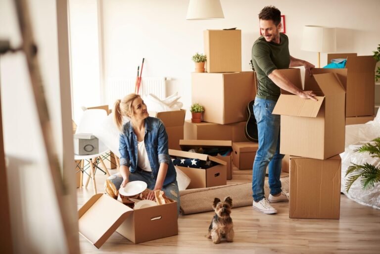 Movers in Bayswater