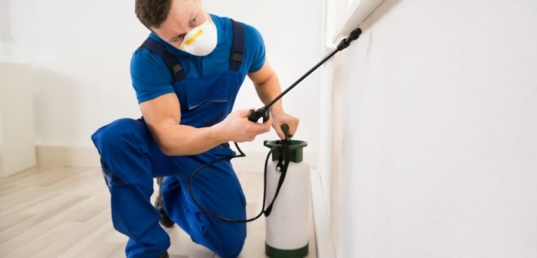 Pest Control Methods