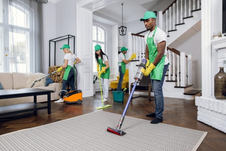 professional cleaning company